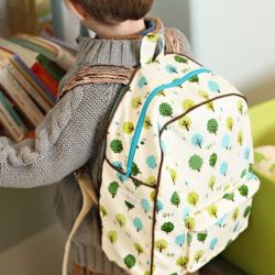 Eco-Friendly-Back-Pack