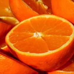 orange-15047_640
