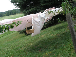 revisiting green laundry