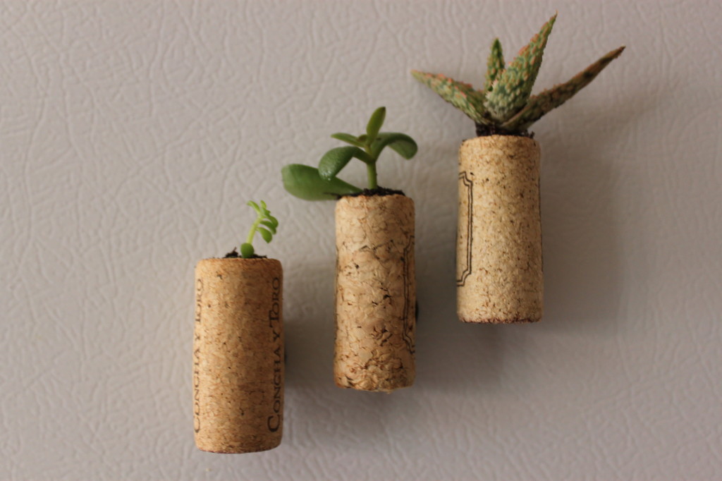 diy mini succulent wine cork planters