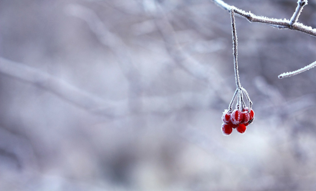Winter in May How to Green Your Winter Blues
