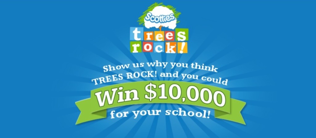 Scotties Trees Rock