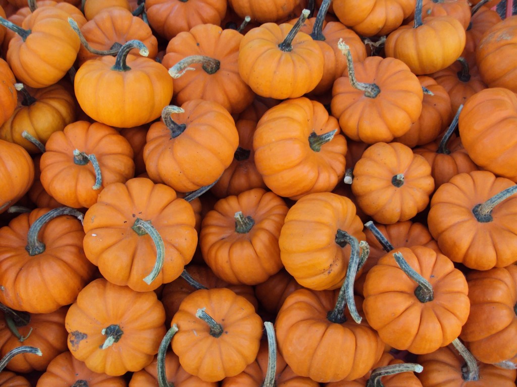 Wecome to Fall