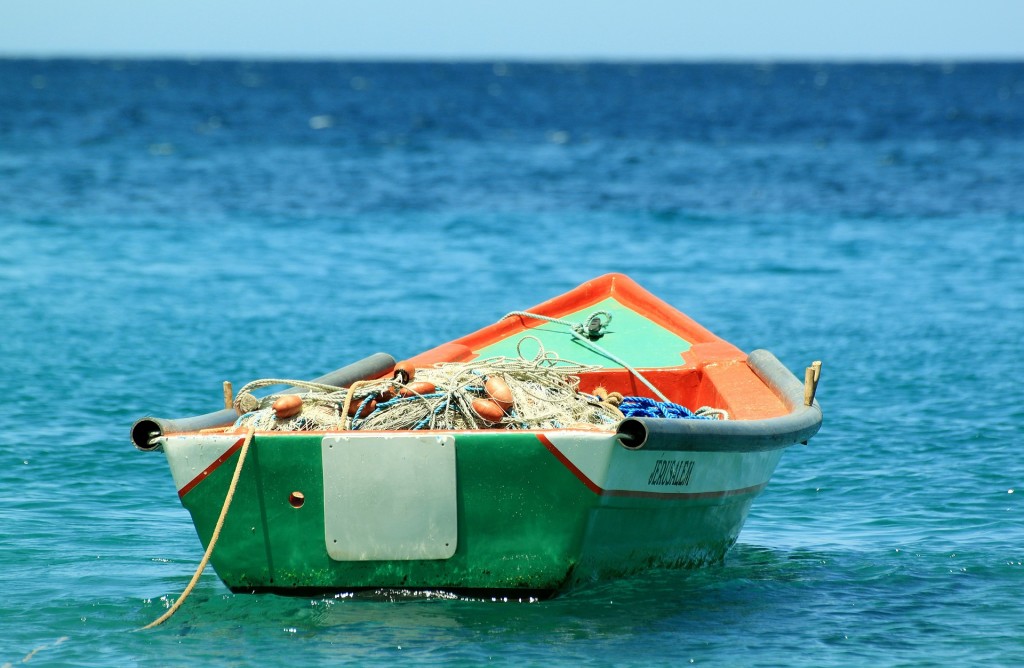 3 Good Reasons to Consider Making Sustainable Fish a Part of Your Meal Plan